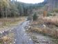 hlaváč bieloplutvý (14.10.2013)